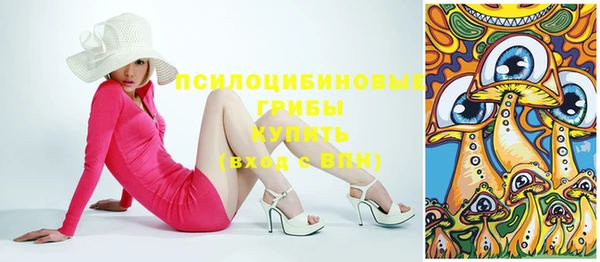 spice Алексин