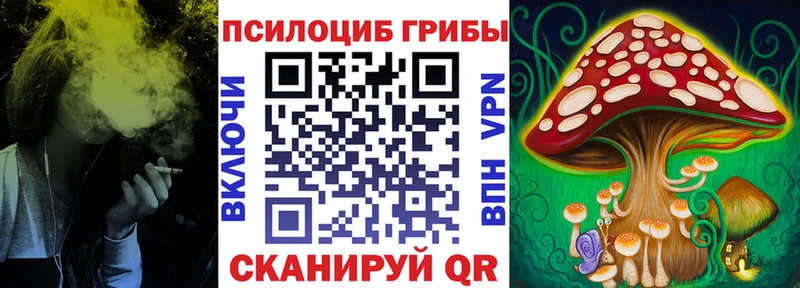 где найти наркотики  ссылка на мегу вход  Галлюциногенные грибы Cubensis  мориарти наркотические препараты  Завитинск 