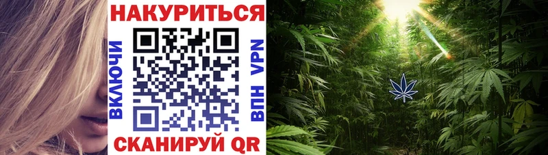 купить закладку  Завитинск  Канабис Amnesia 
